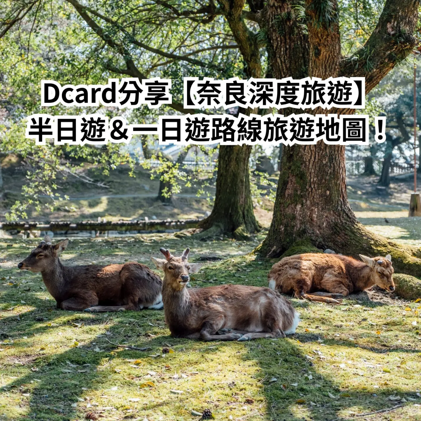 Dcard分享【奈良深度旅遊】半日遊&一日遊路線旅遊地圖!