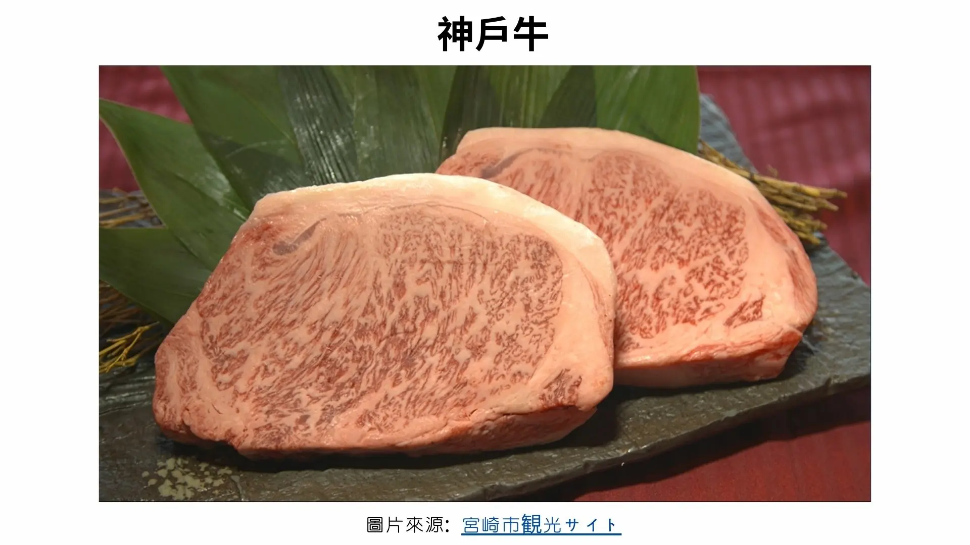 JP日本鹿兒島【宮崎旅遊】一日遊美食景點地圖！