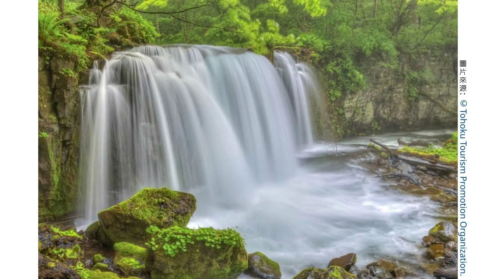 JP日本【東北旅遊】跟團 vs 自由行推薦必買景點有哪些？