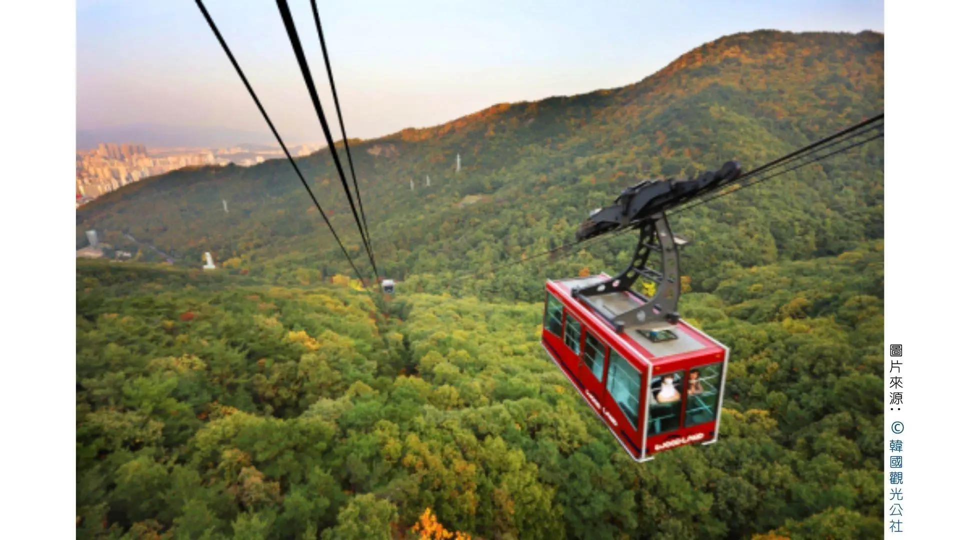 PTT&Dcard分享韓國【大邱景點】美食地圖好玩嗎？